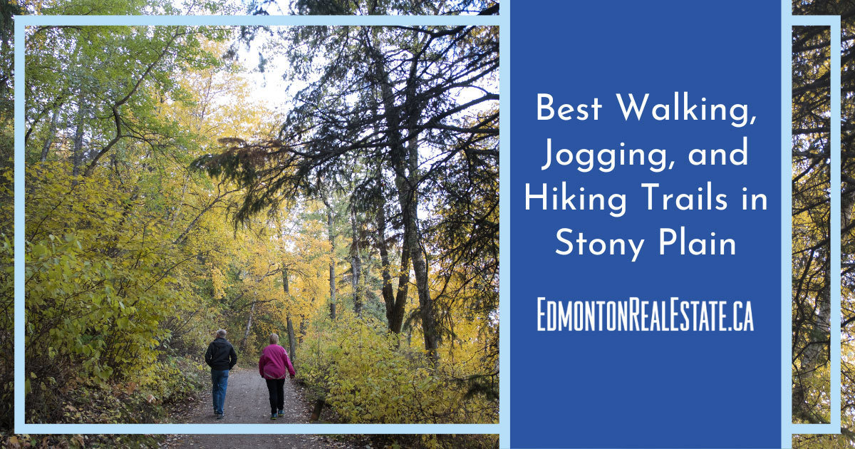 Best Hikes and Trails in Stoney Creek